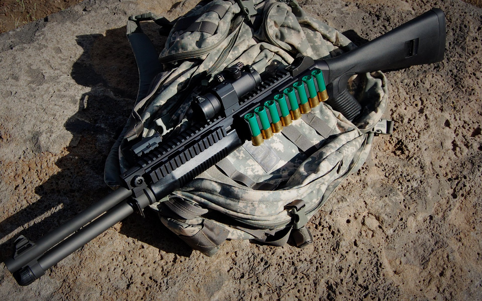 “自由搏击赛,四川省体育馆成战场!”