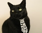 体育明星纪录片专栏登陆主流视频平台,播放体育明星