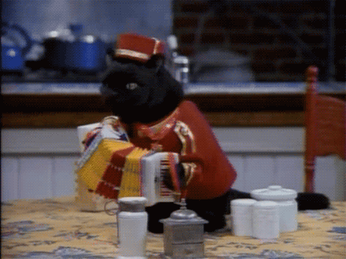 博塔弗戈替补阵容经验略显不足，博塔弗戈队服