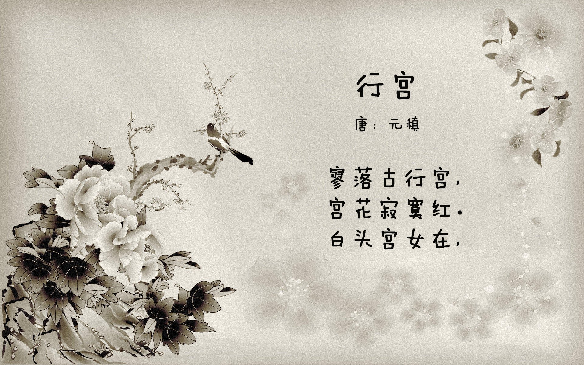 技术数据展示该项目选手潜力巨大,技术展现