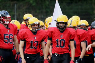 乐鱼体育(中国)官方网站-球员伤病防护不足，球员伤病对球员的影响