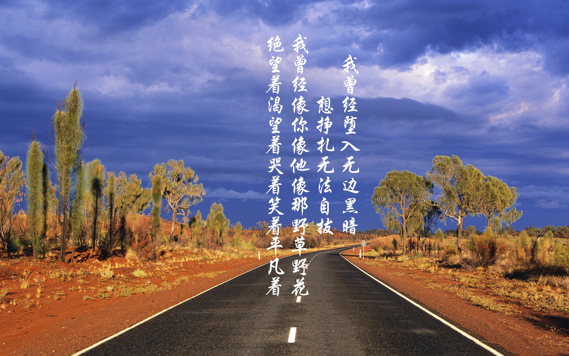 乐鱼体育APP官方下载-瑞典乒乓球团队在2024年世界杯的强势崛起，瑞典乒乓球名单