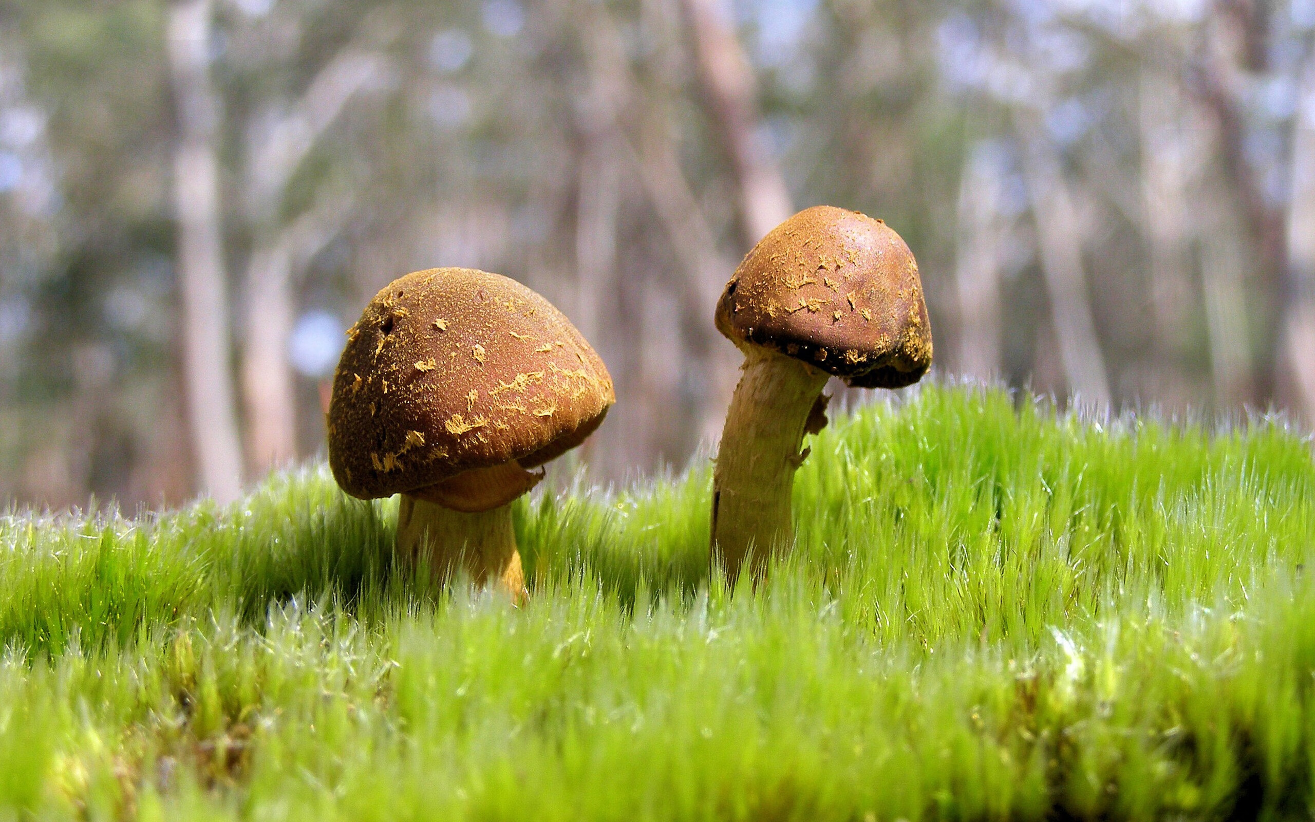 田径队伤病预防取得进展,田径运动教学中预防伤害事故发生的主要措施有哪些