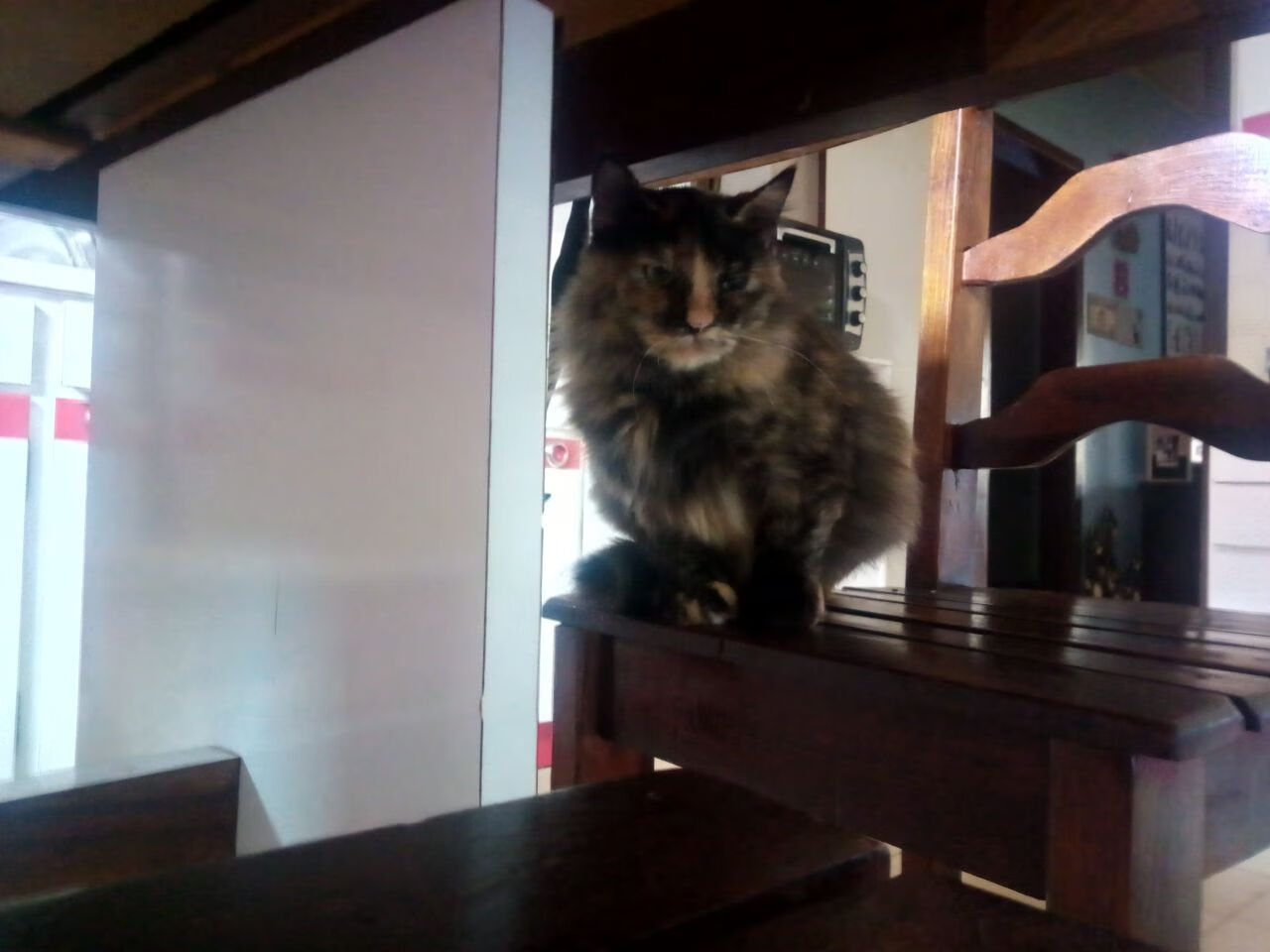 高校轮滑锦标赛新增技巧障碍赛项目，轮滑障碍赛中,共8个障碍物