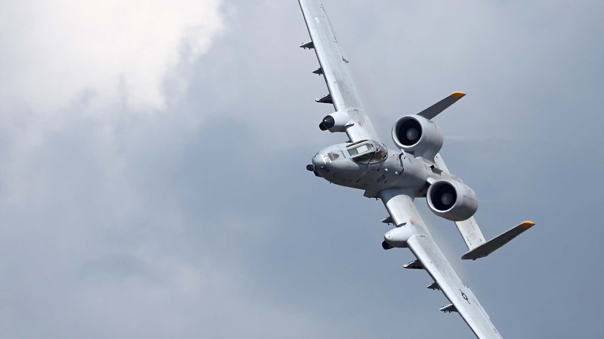 APP下载 LY Sports-世界杯运动员的职业发展路径，世界杯足球运动员年龄要求