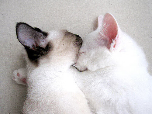 中乙联赛支持本地学校建队带动青训联动机制,中乙联赛规则