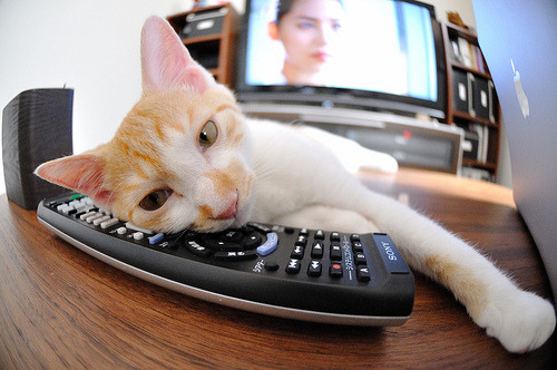 乐鱼体育-中国男篮战术板块全面升级融入多样化打法，中国男篮面临一个可怕的对手