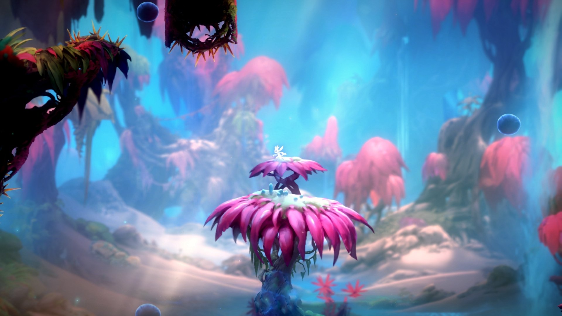 克莱尔·温斯坦200自决赛游出高水准，克莱尔温兰德