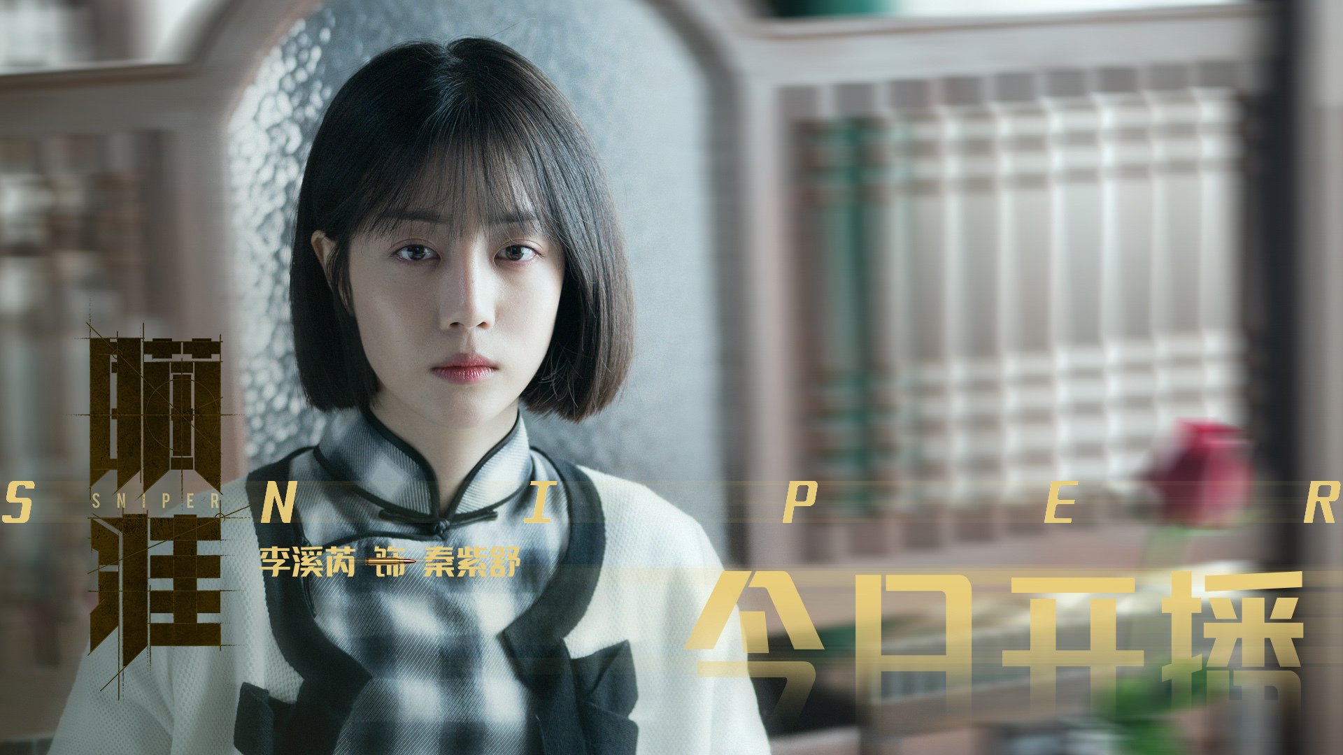 南非橄榄球赛事的观众基础不断扩大，全球关注度提升，南非橄榄球图片