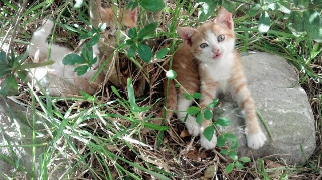 孙颖莎完成绝杀瞬间乒乓球世锦赛，孙颖莎乒乓球比赛视频回放