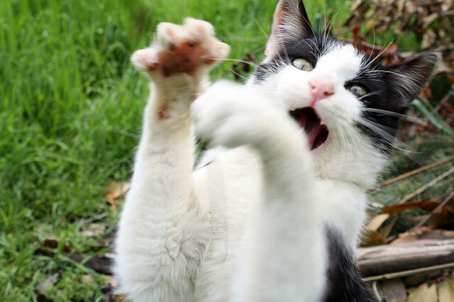 意甲经典场面:攻守精彩纷呈令人陶醉,意甲 足球