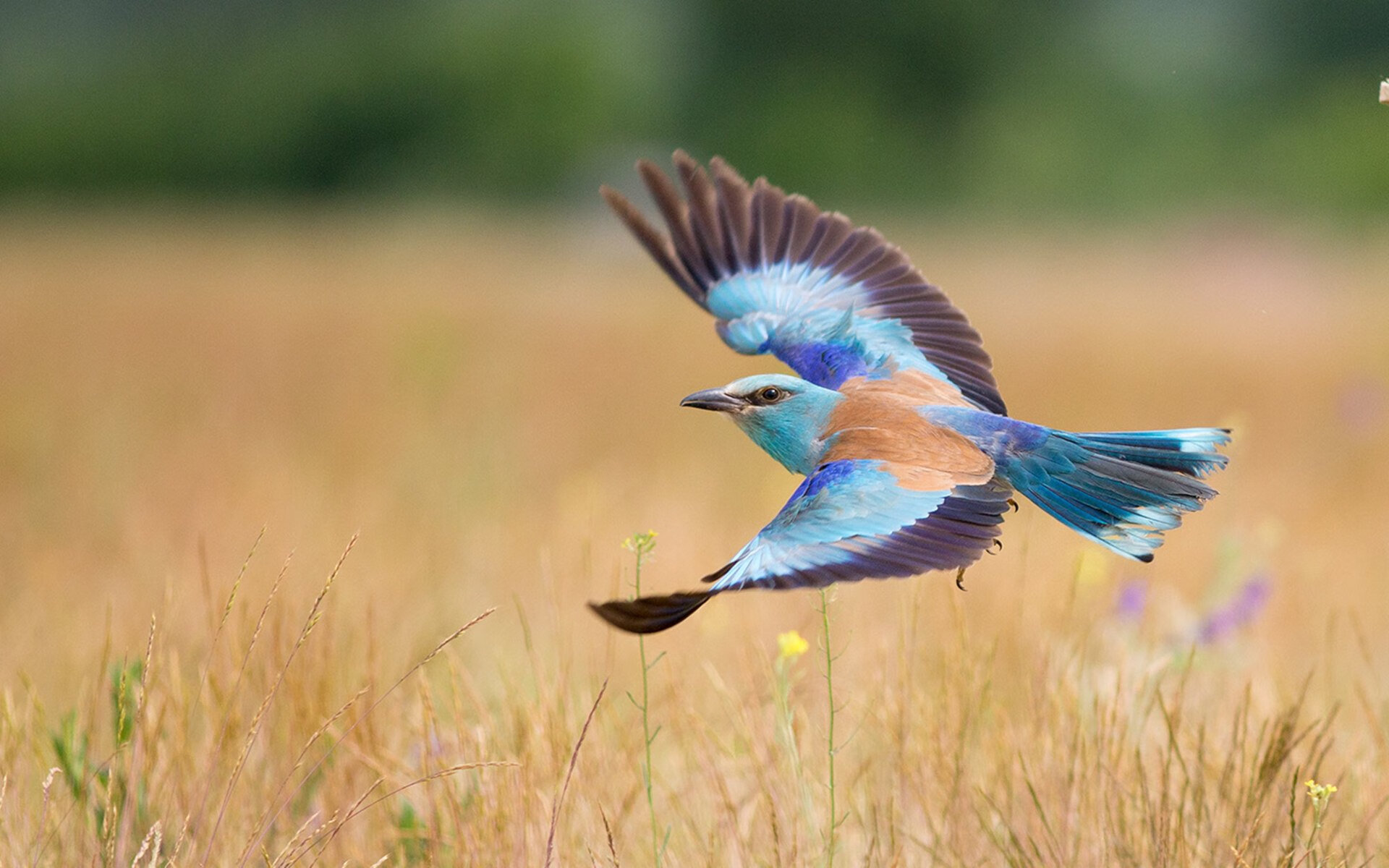 校园篮球赛设立最具潜力球员奖鼓励学生多维发展，学校篮球比赛获奖
