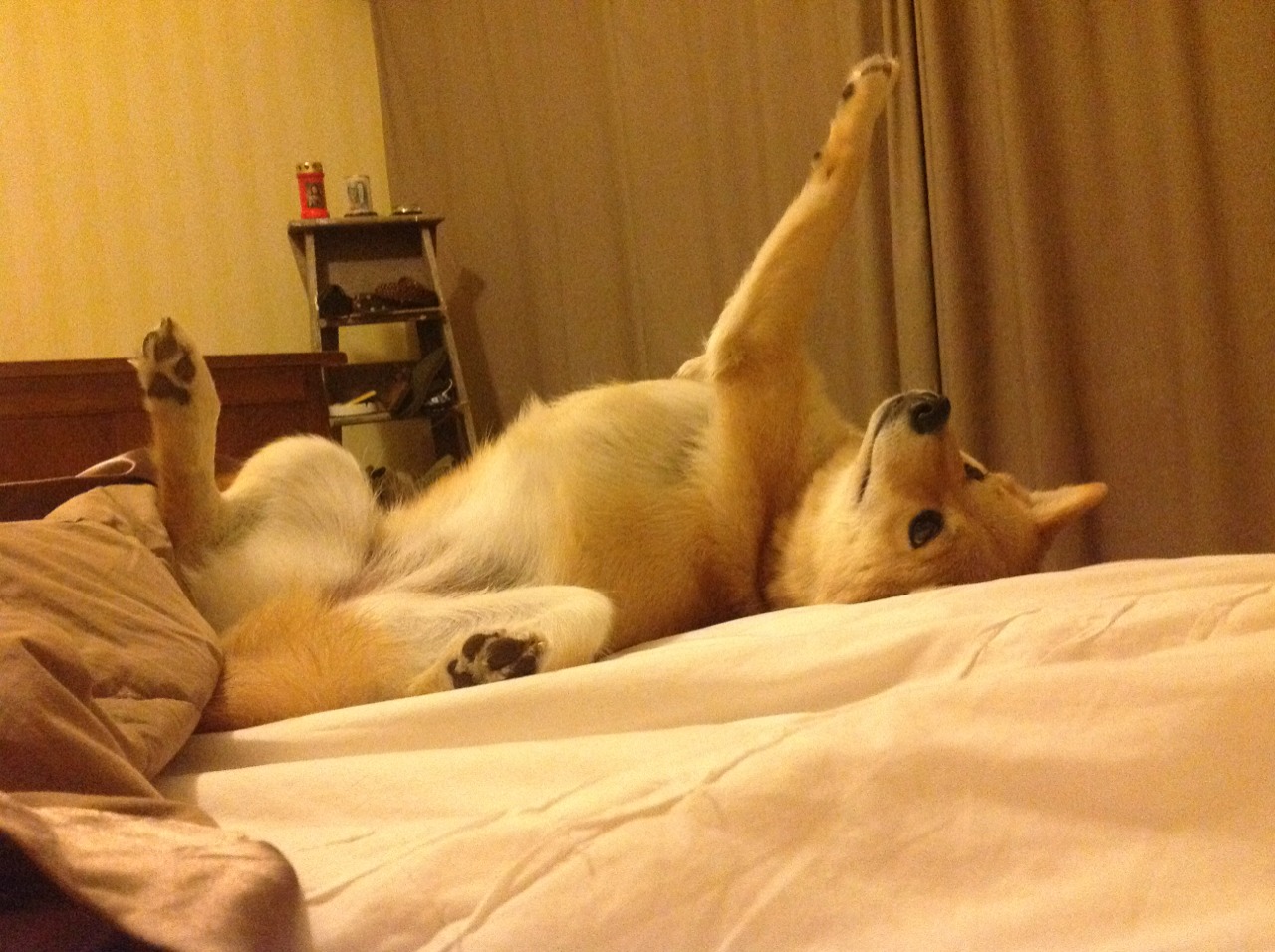 leyu乐鱼-法甲王者归来：强队的震撼表现，法甲四强