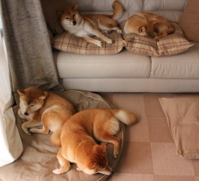 乐鱼（LEYU）体育-绿色节能足球器材在市场中的渗透率持续提升，推动行业绿色升级