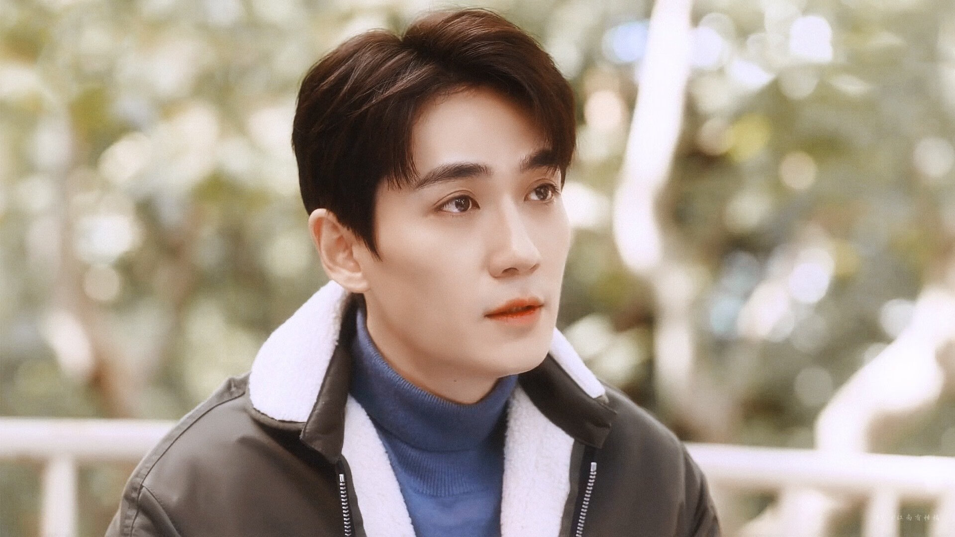 APP下载 LY Sports-自由泳冲刺荷兰队表现出色，自由泳竞速视频