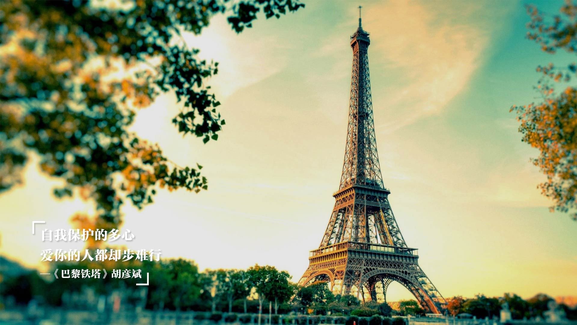 乐鱼体育平台官网-Cole Palmer成为决赛最佳球员，总决赛胜率最高的球员